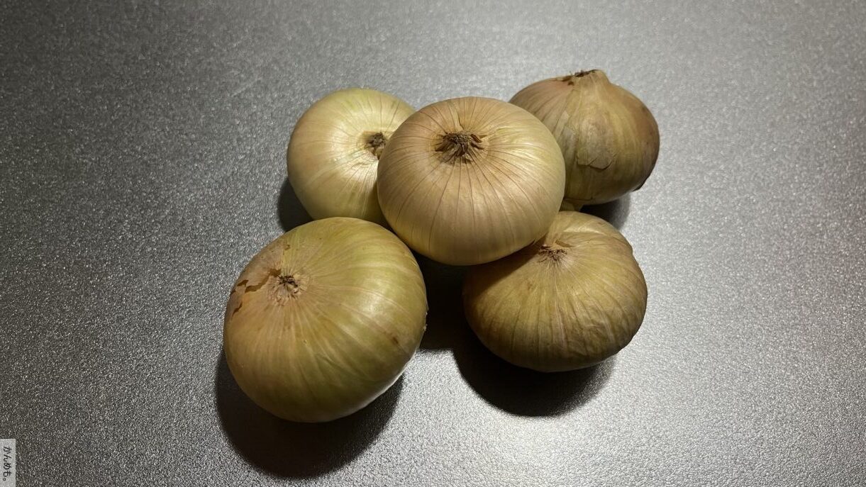 旬の食材 初夏 夏 ペコロスってどんな野菜 かんめも